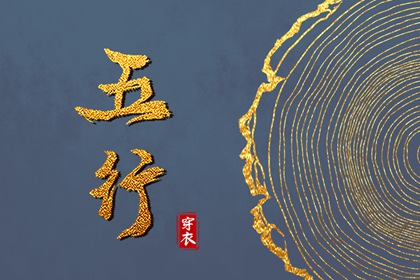 真命八字_知运八字_易百查排盘八字_六爻卦象全解